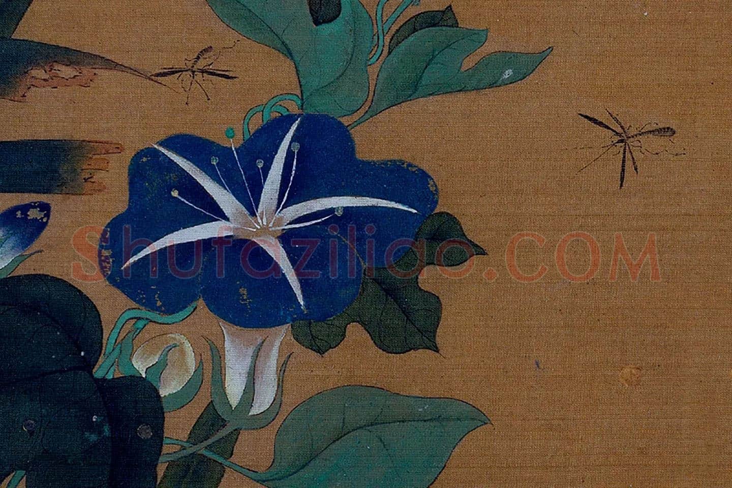 黄筌工笔花卉《牵牛花》局部 (1)
