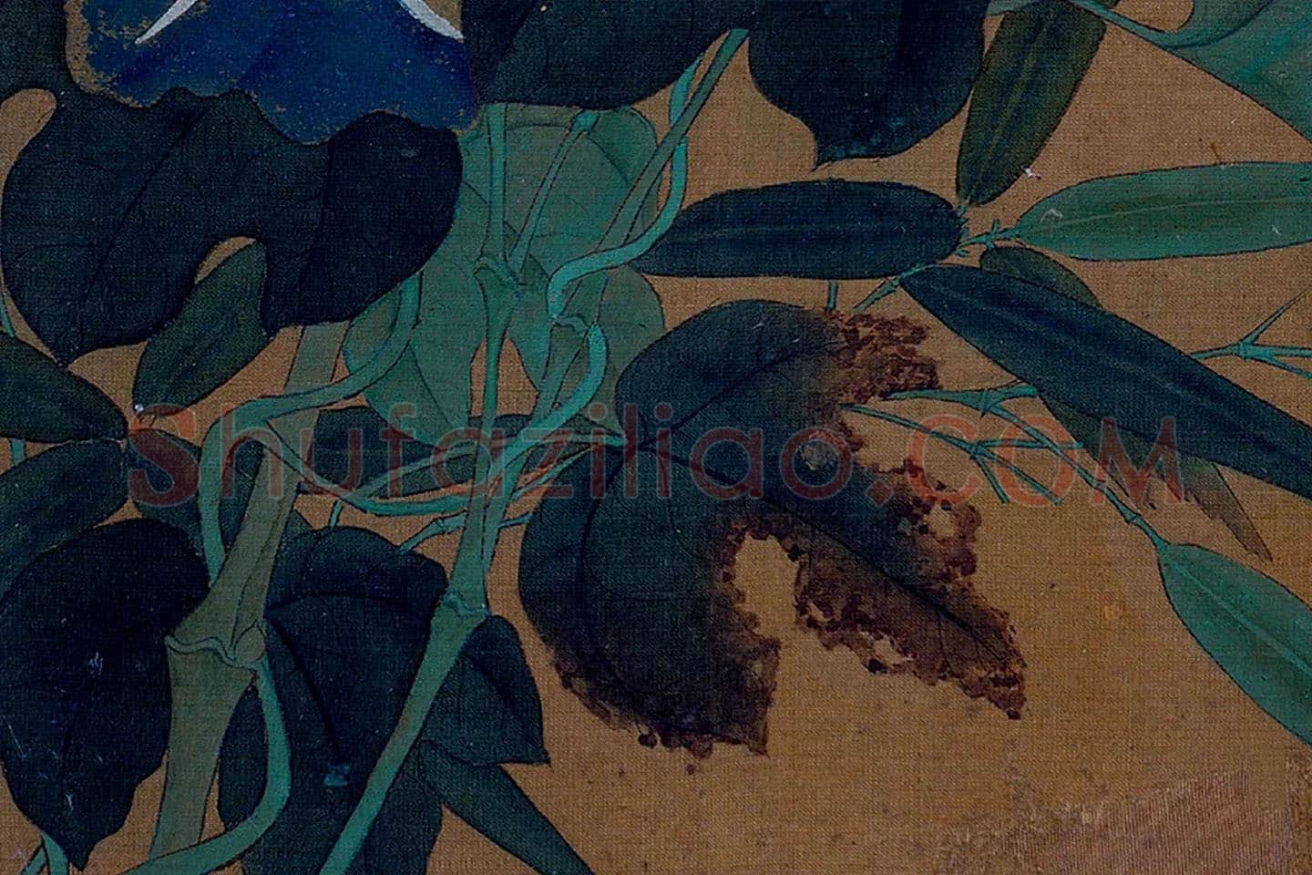 黄筌工笔花卉《牵牛花》局部 (2)
