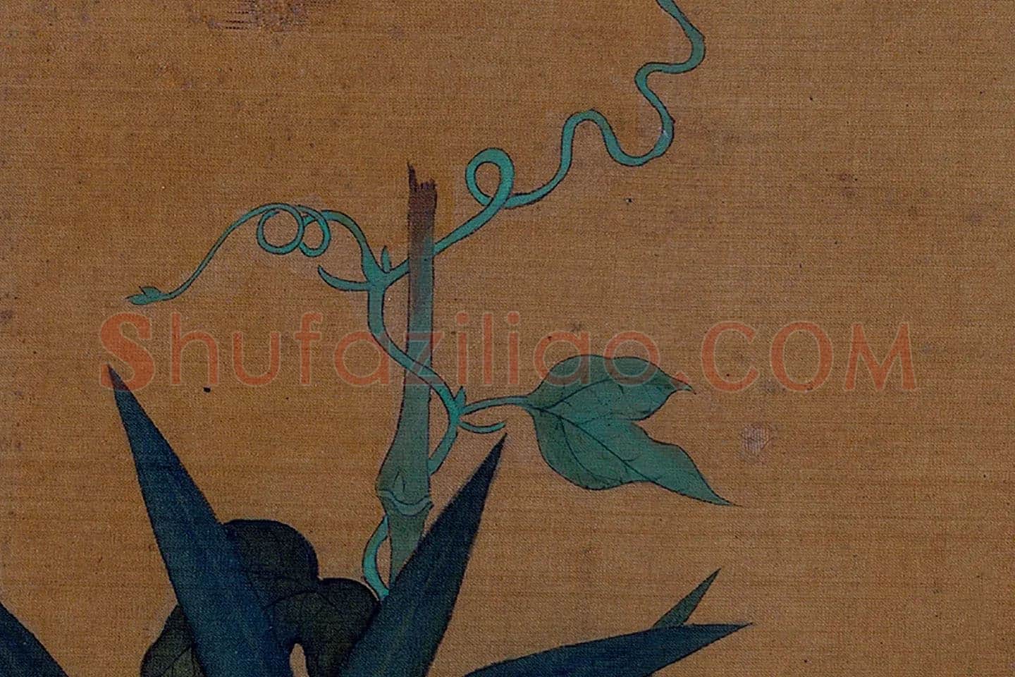 黄筌工笔花卉《牵牛花》局部 (3)