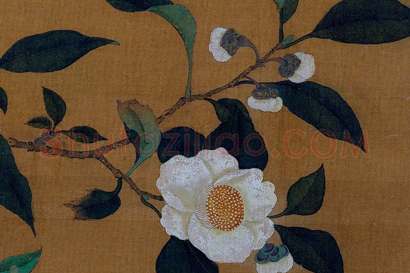 黄筌花鸟工笔《茶花翎毛》局部 (3)