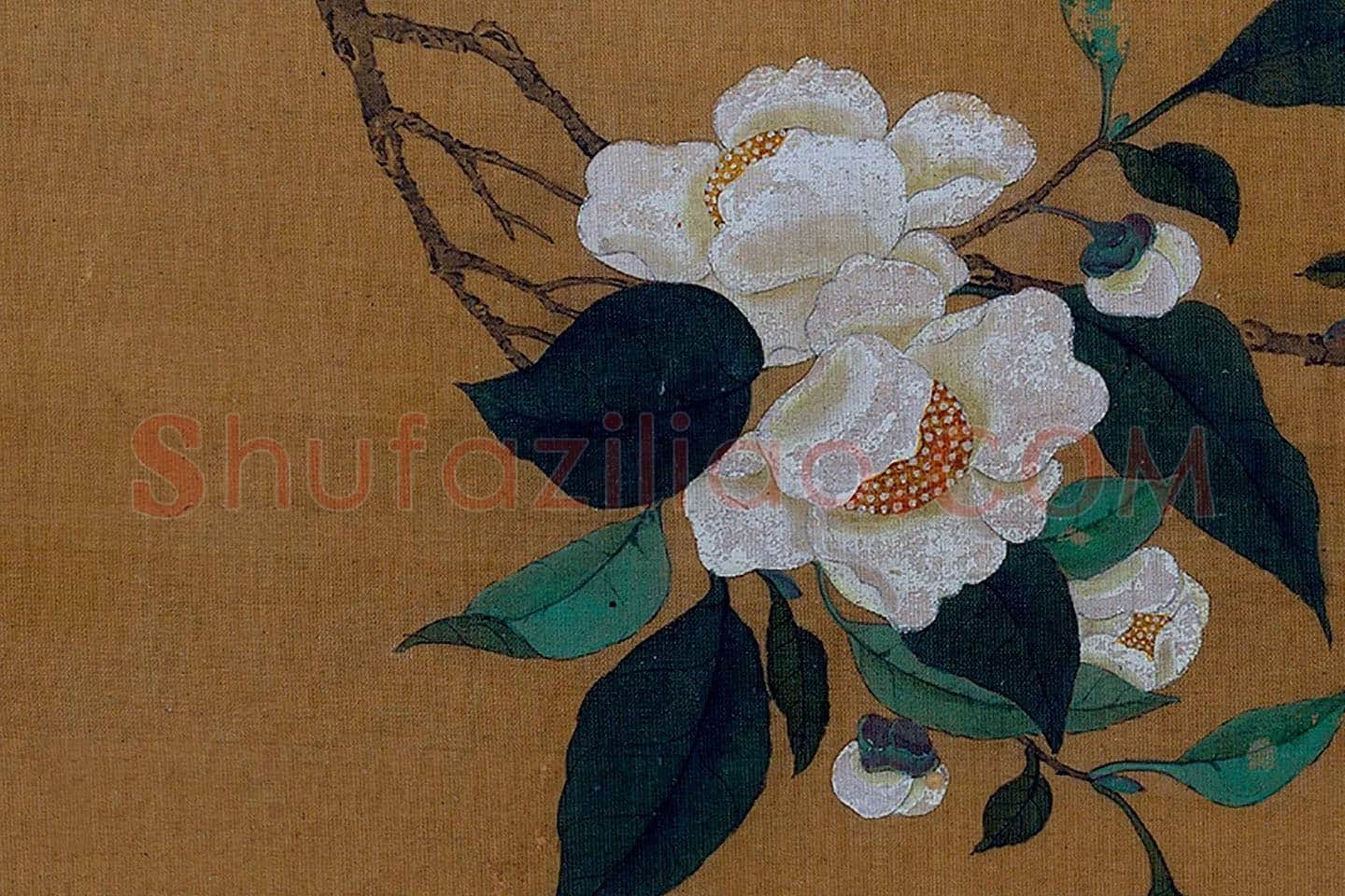 黄筌花鸟工笔《茶花翎毛》局部 (4)
