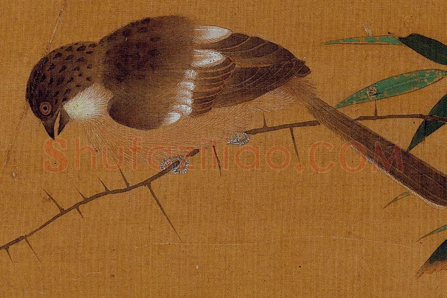 黄筌工笔花鸟画《竹枝翎毛》局部 (1)