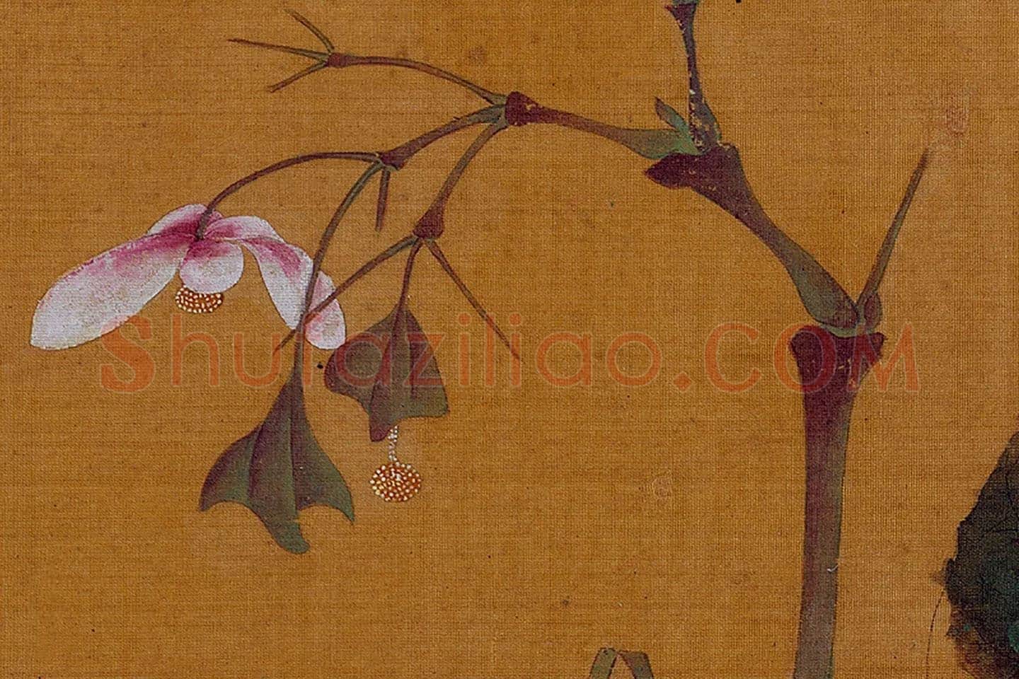 黄筌工笔画《海棠螽斯》局部 (3)