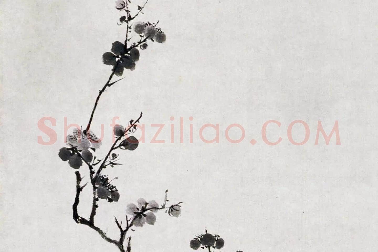 唐寅《墨梅图》局部 (2)