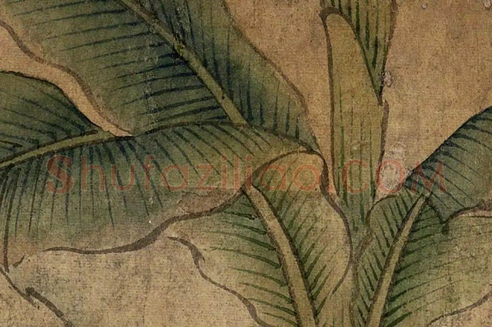 柯九思《芭蕉奇石》局部 (4)