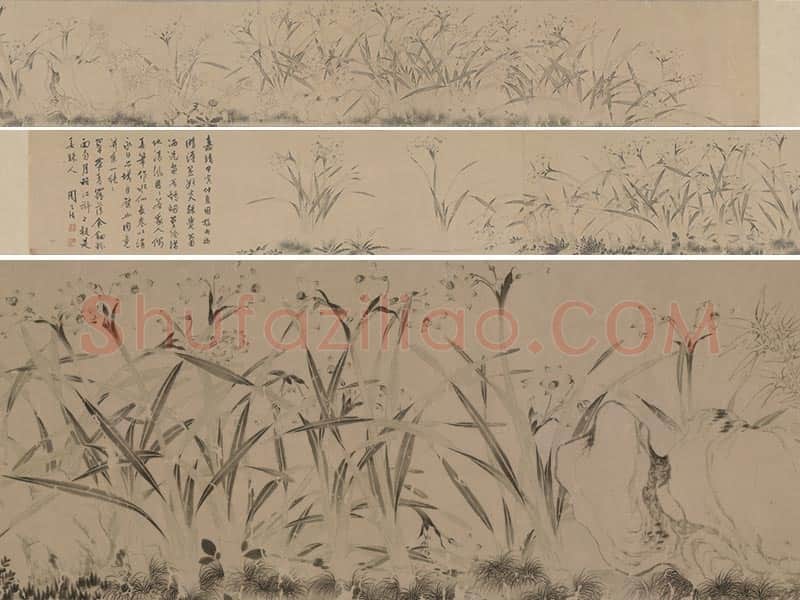 国画水仙花 明代·周天球《水仙图》卷