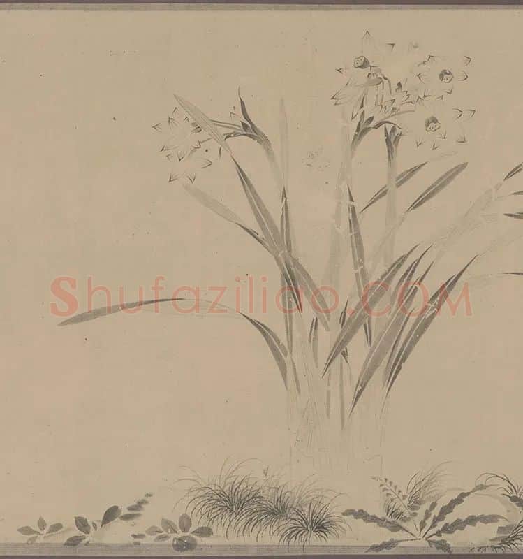 国画水仙花-周天球水仙图卷全卷_03