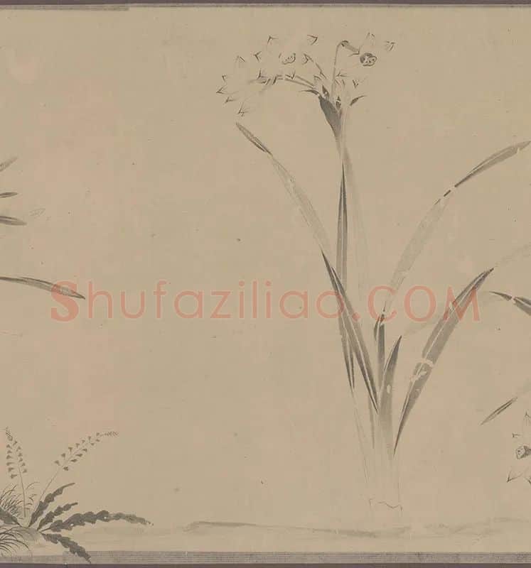 国画水仙花-周天球水仙图卷全卷_04