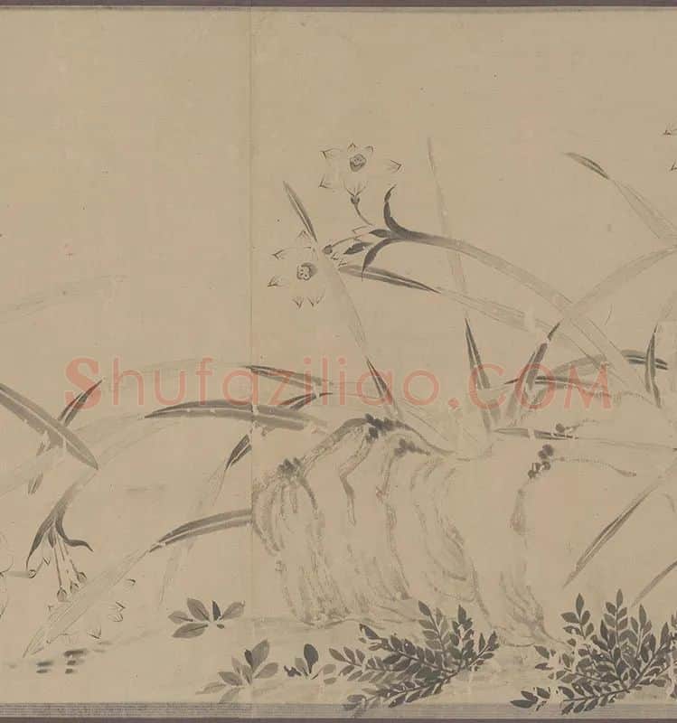 国画水仙花-周天球水仙图卷全卷_05