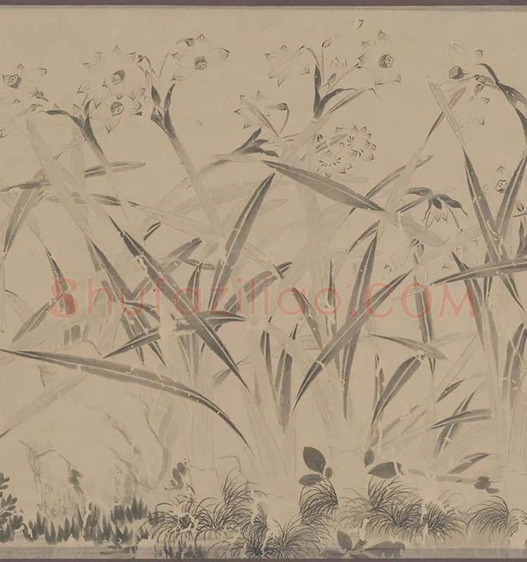 国画水仙花-周天球水仙图卷全卷_06