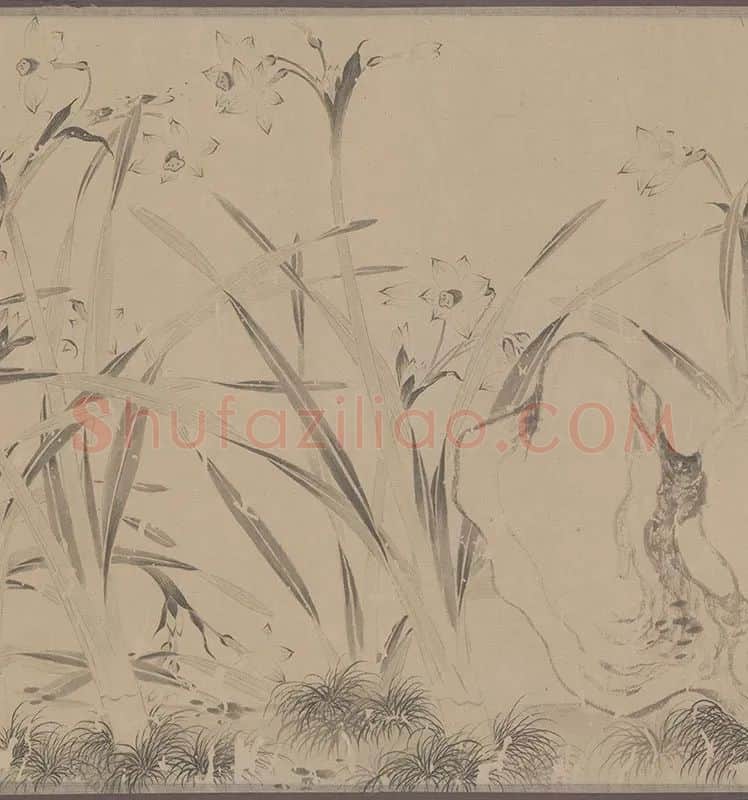 国画水仙花-周天球水仙图卷全卷_07