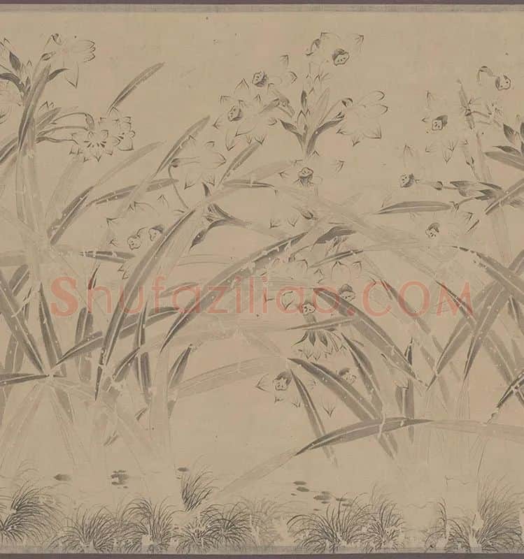 国画水仙花-周天球水仙图卷全卷_11