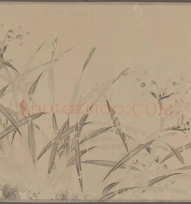 国画水仙花-周天球水仙图卷全卷_12