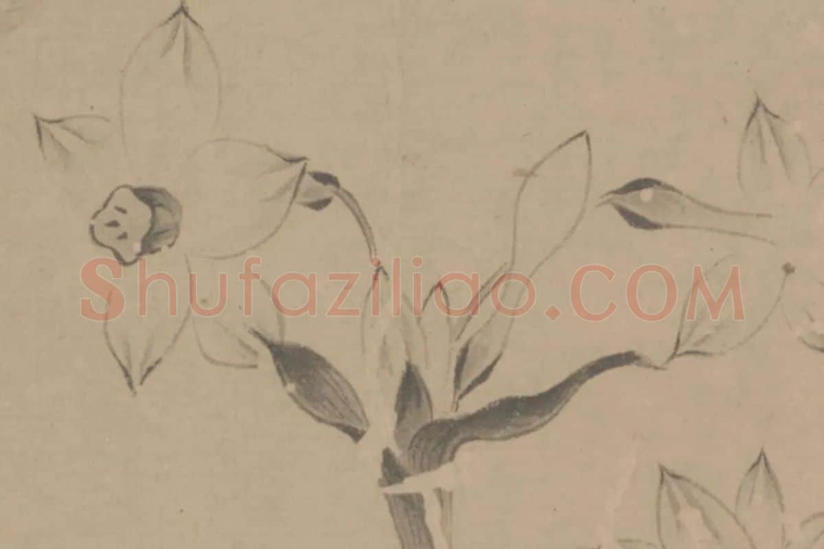 明代·周天球《水仙图》卷局部细节 (1)