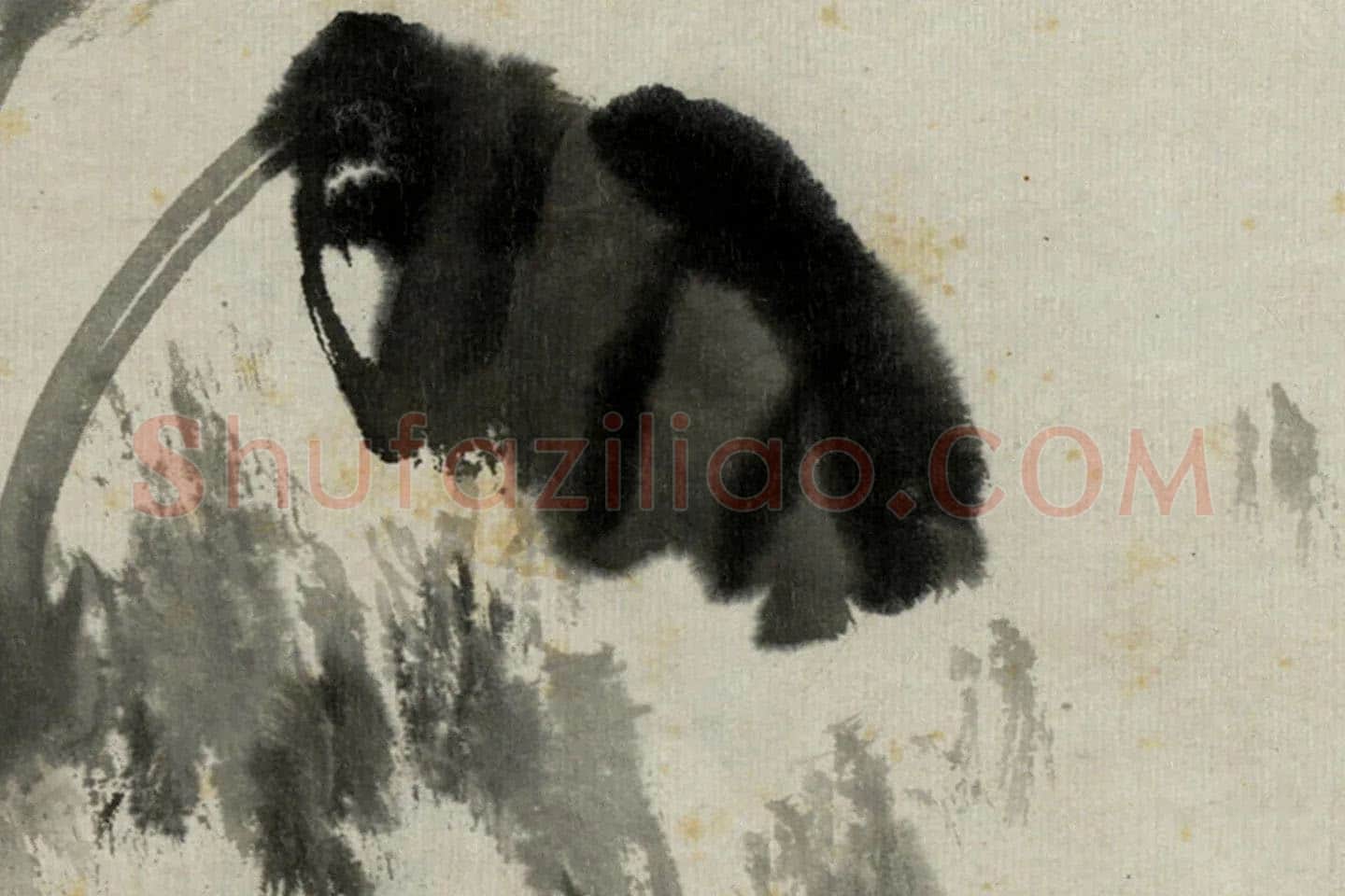 朱耷写意水墨画《拳石玉簪图》局部 (1)