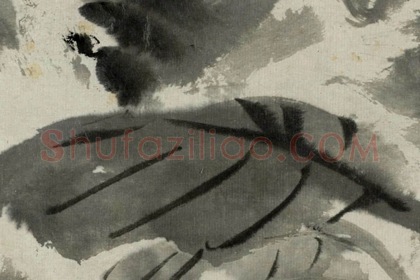 朱耷写意水墨画《拳石玉簪图》局部 (2)