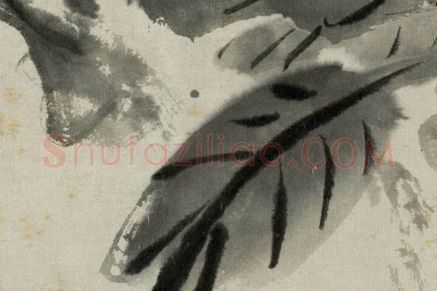 朱耷写意水墨画《拳石玉簪图》局部 (4)