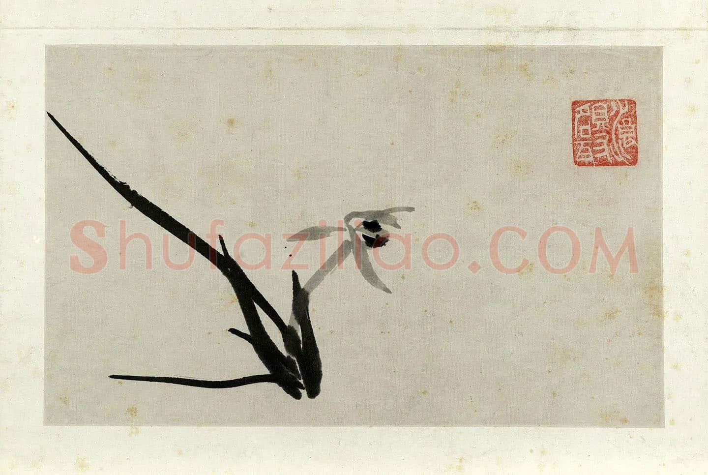 朱耷写意水墨画《兰花》