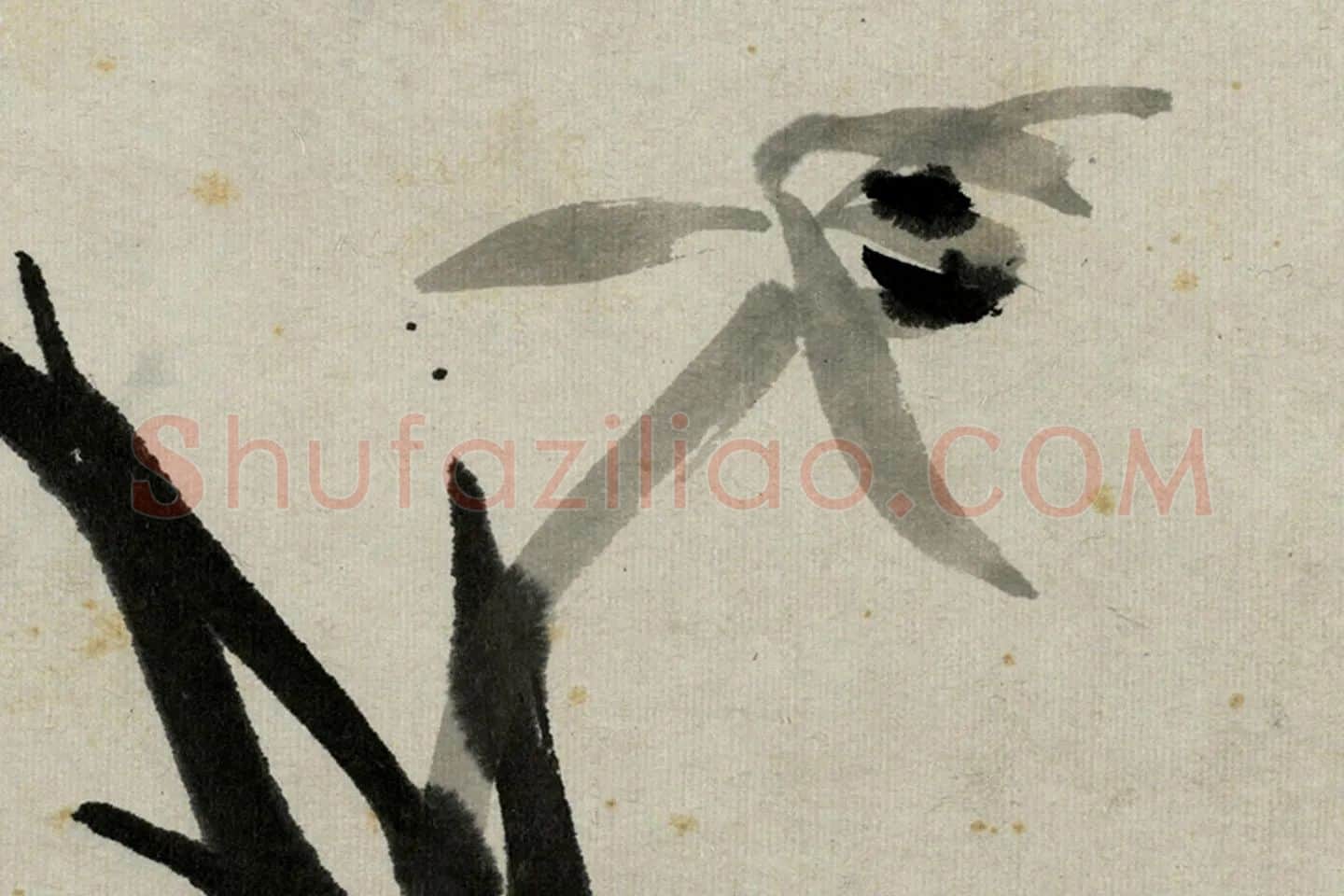 朱耷水墨写生册局部 (3)
