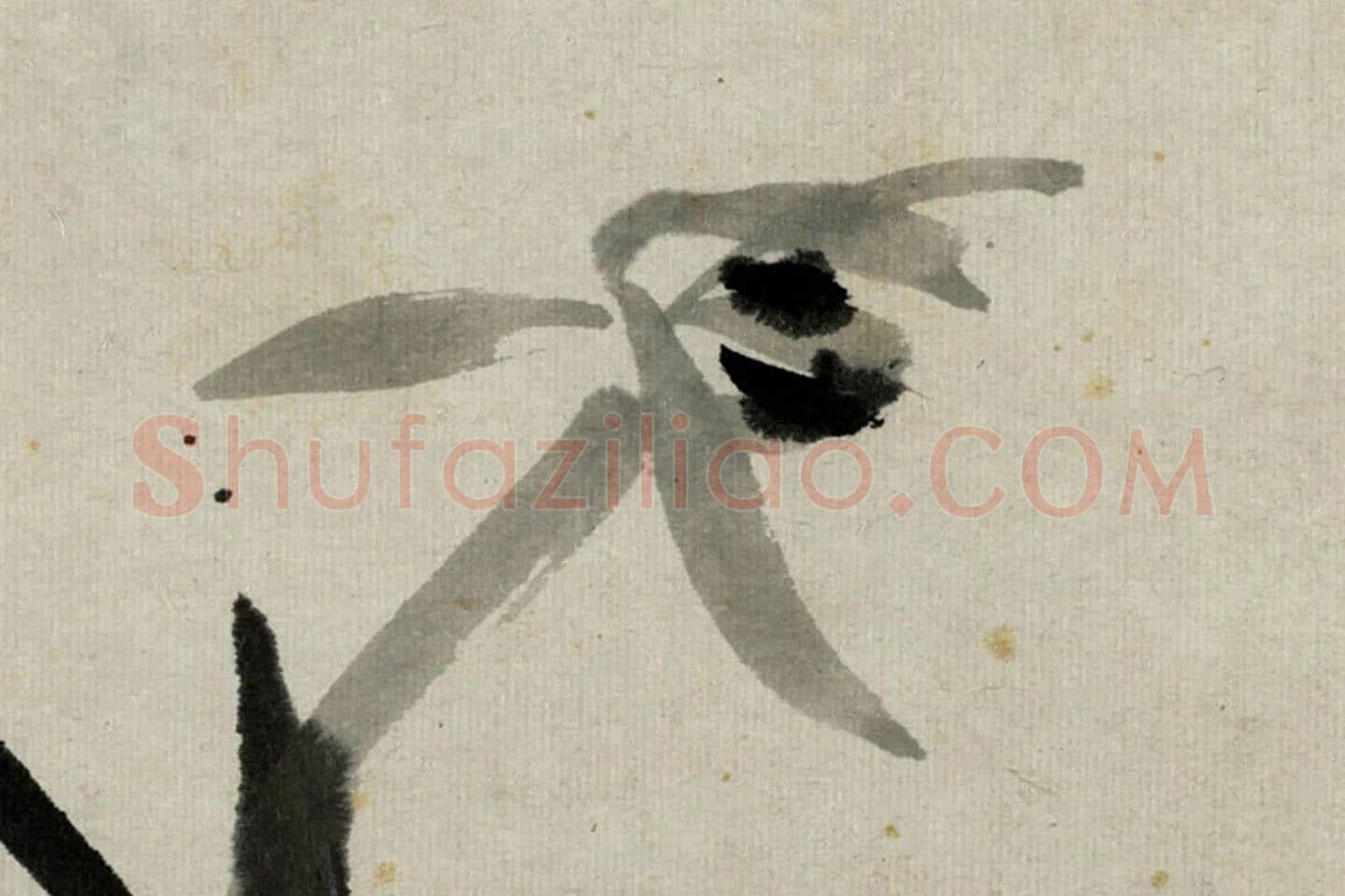 朱耷写意水墨画《兰花》局部 (1)