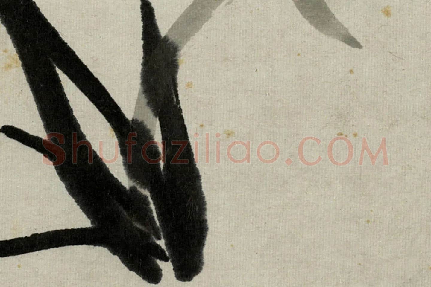朱耷写意水墨画《兰花》局部 (2)