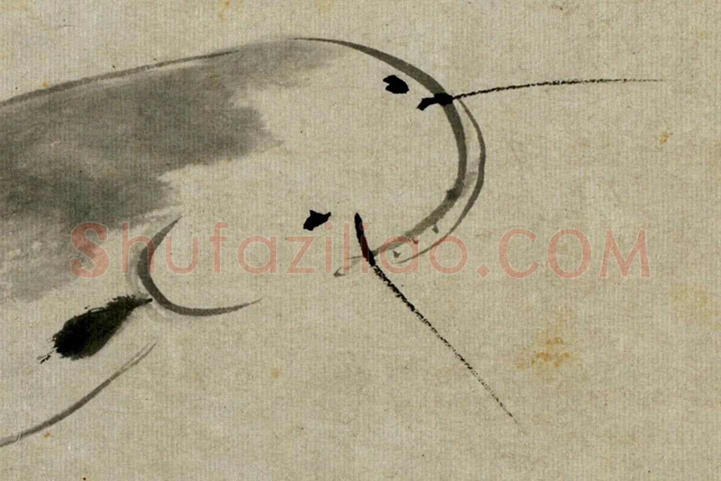 朱耷写意水墨画《鯰魚》局部 (1)