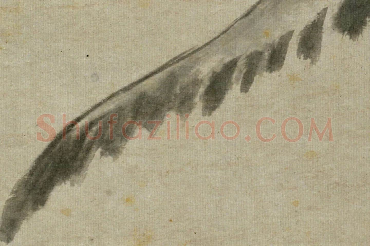 朱耷写意水墨画《鯰魚》局部 (2)