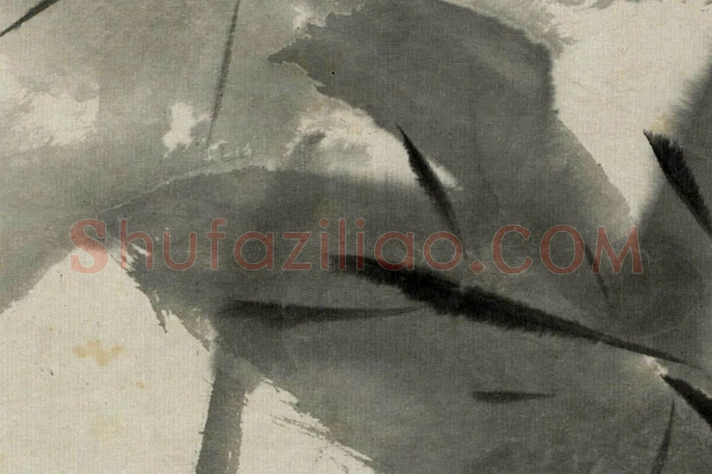 朱耷写意水墨画《芋头》局部 (3)