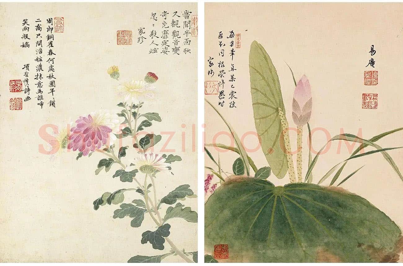 项圣谟《花卉十开》花鸟画高清册页_02