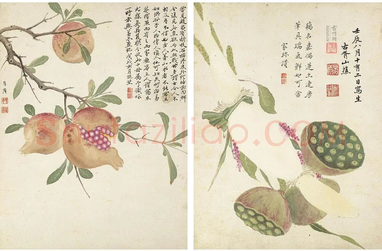 项圣谟《花卉十开》花鸟画高清册页_03