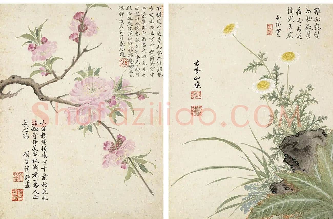 项圣谟《花卉十开》花鸟画高清册页_05