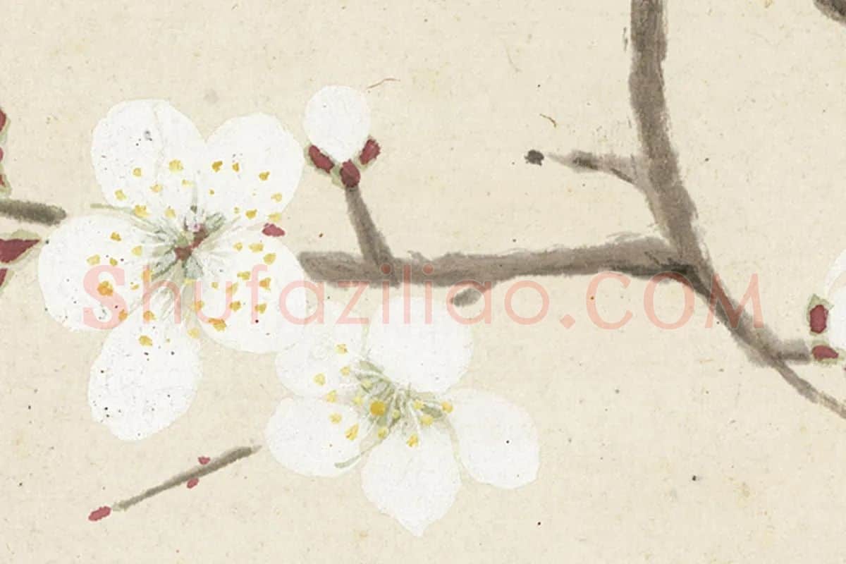 1.项圣谟《花卉十开册页·折枝白色梅花》高清局部细节