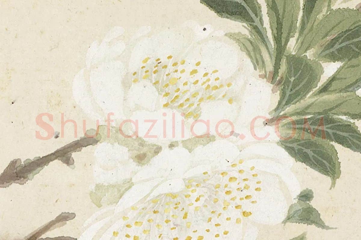 2.项圣谟《花卉十开册页·折枝白色桃花》高清局部细节