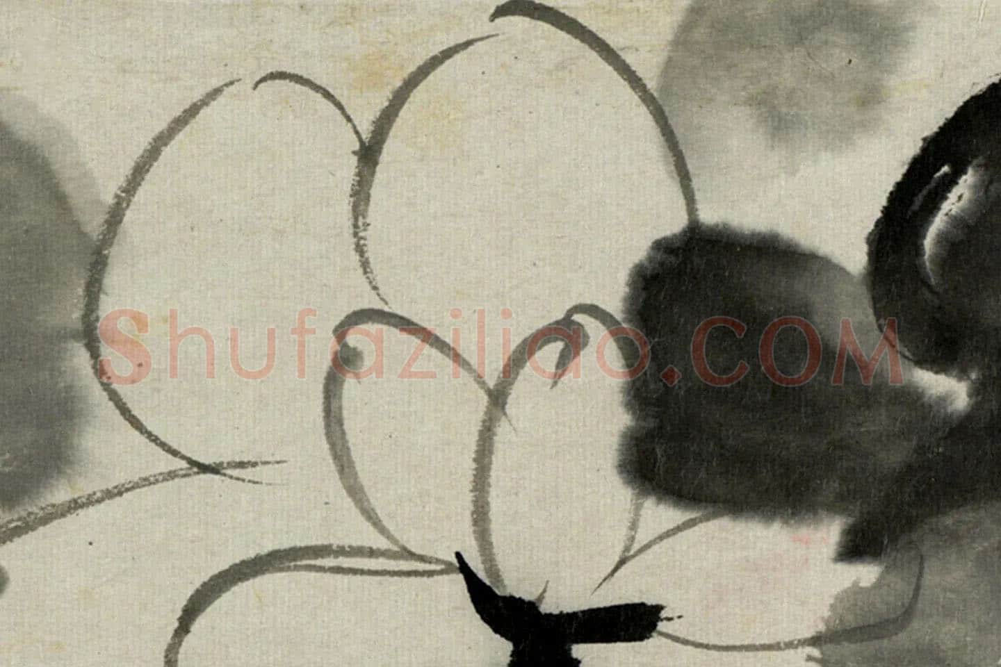 朱耷写意水墨画《芙蓉花》局部 (2)
