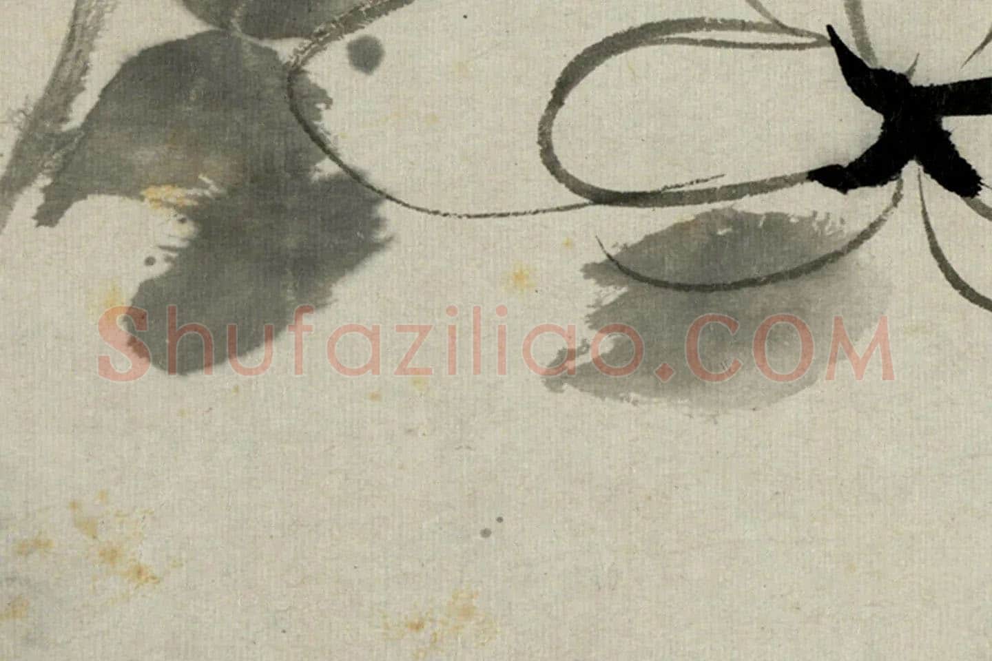 朱耷写意水墨画《芙蓉花》局部 (3)