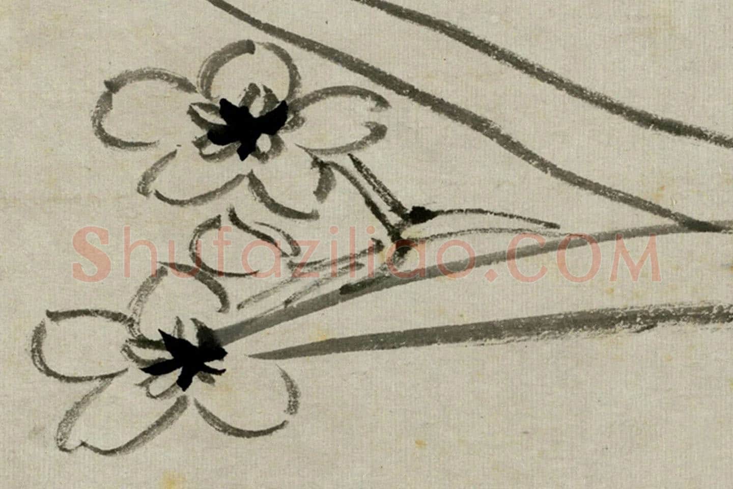 朱耷写意水墨画《水仙》局部 (1)