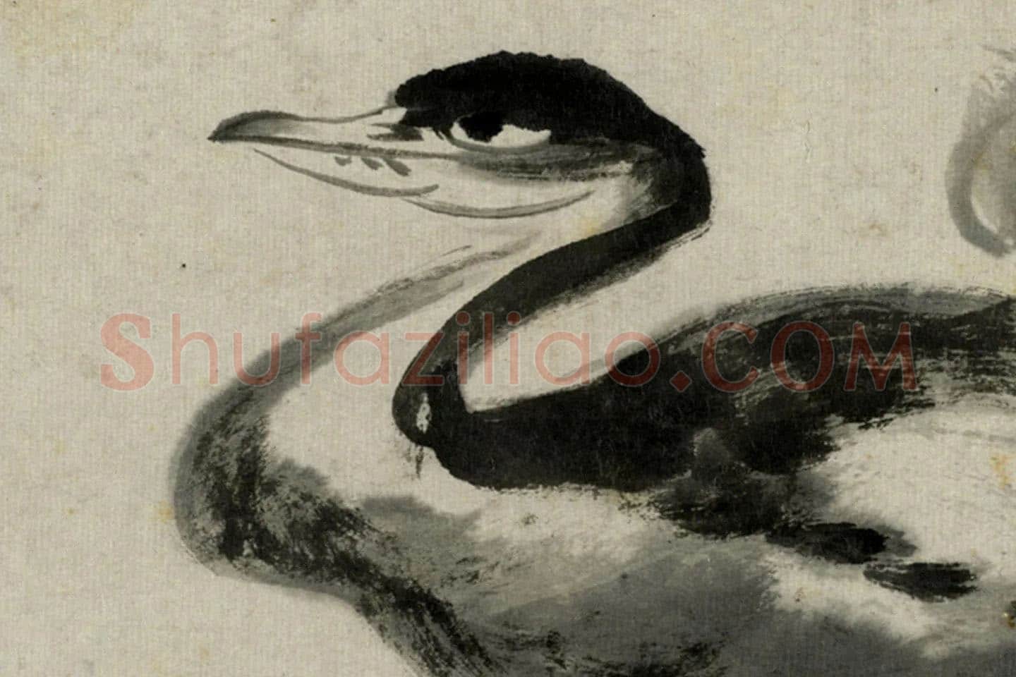 朱耷写意水墨画《双凫》局部 (1)