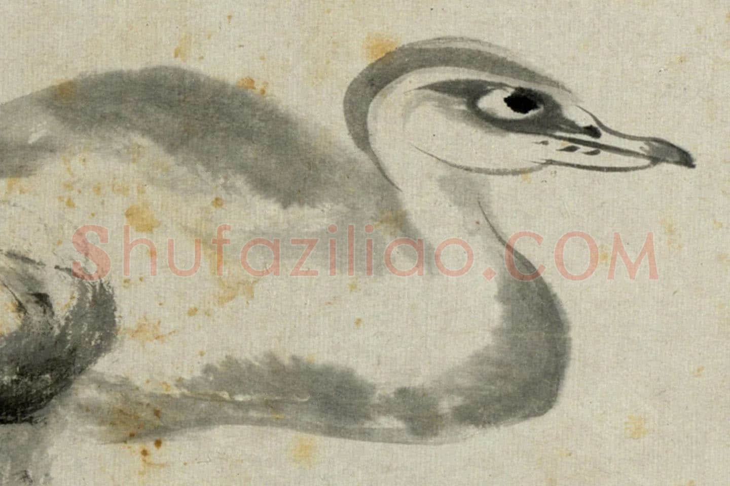 朱耷写意水墨画《双凫》局部 (2)