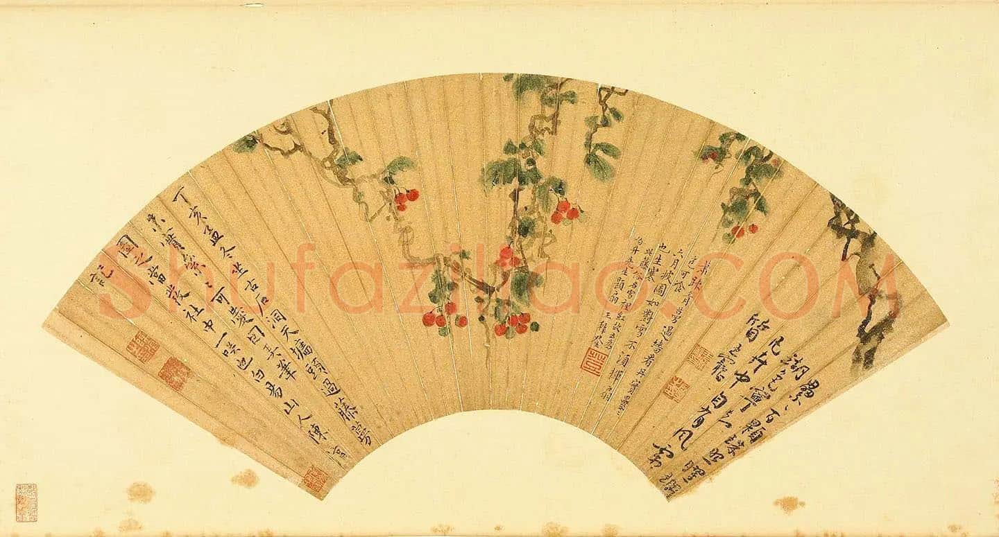 陈淳《雪里红图》扇面页