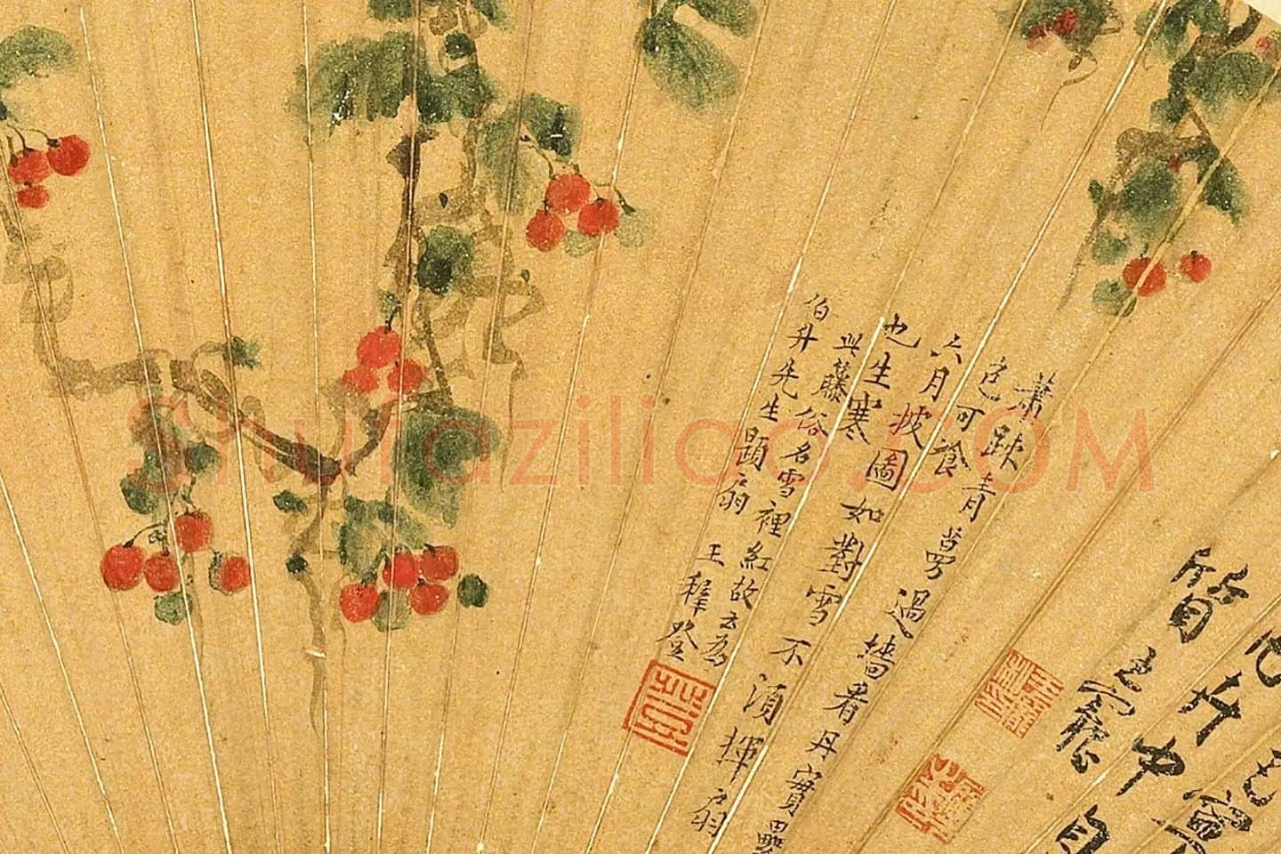陈淳《雪里红图》扇面局部-1