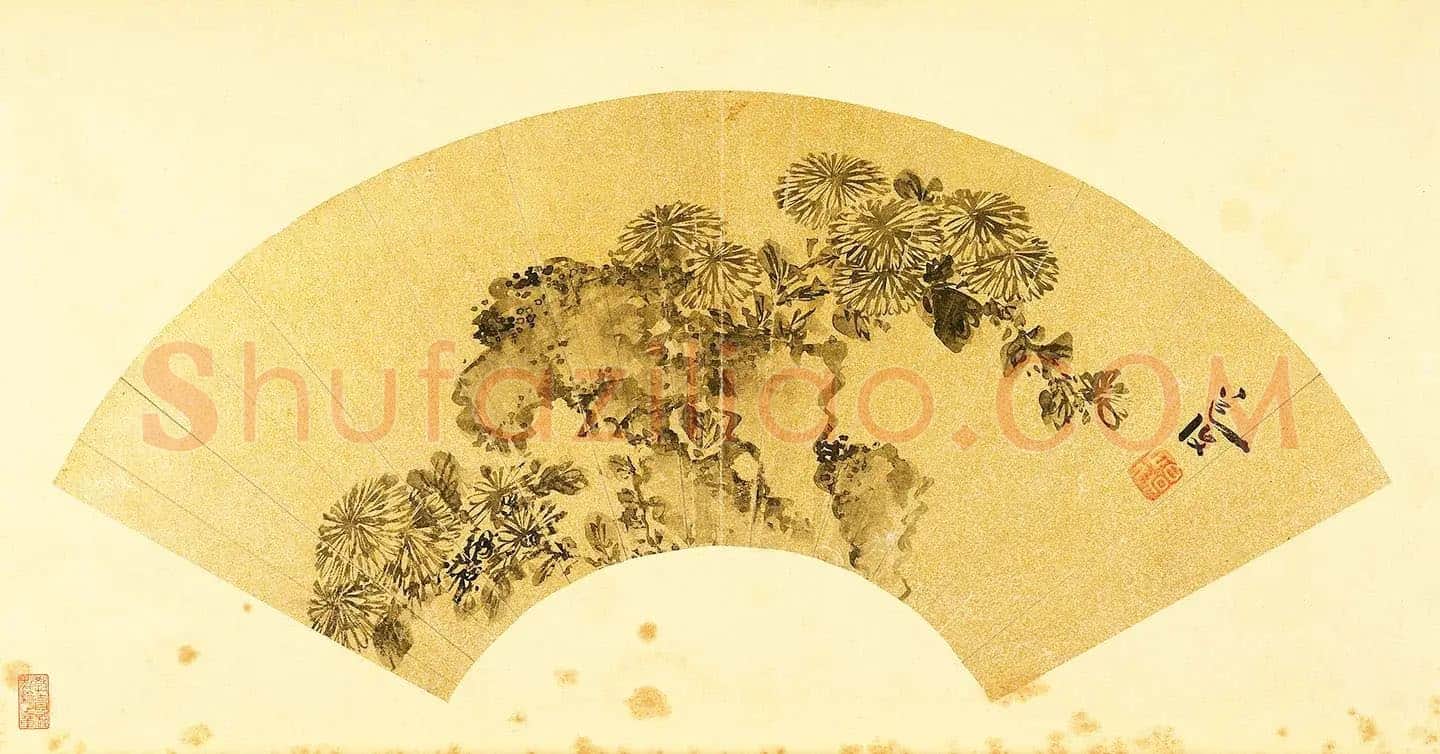 陈淳水墨画《菊石图》扇面页