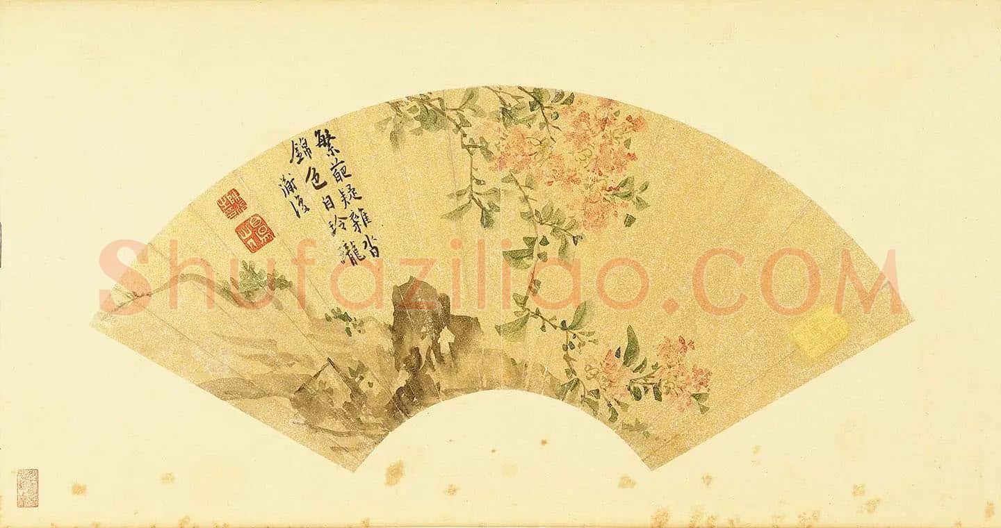 陈淳《紫薇图》扇面页
