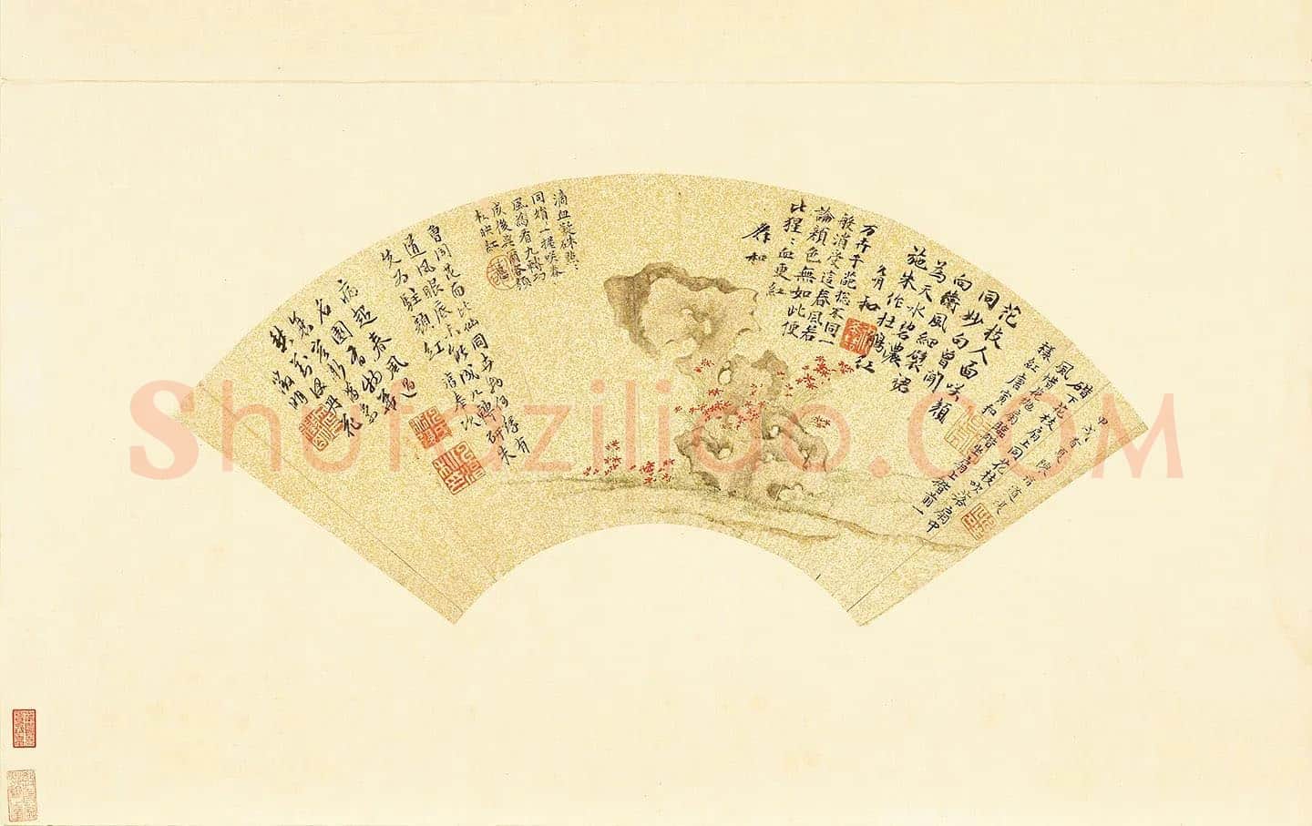陈淳《丹花奇石》扇面页
