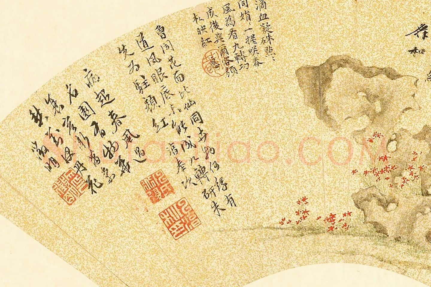 陈淳《丹花奇石》扇面局部 (2)