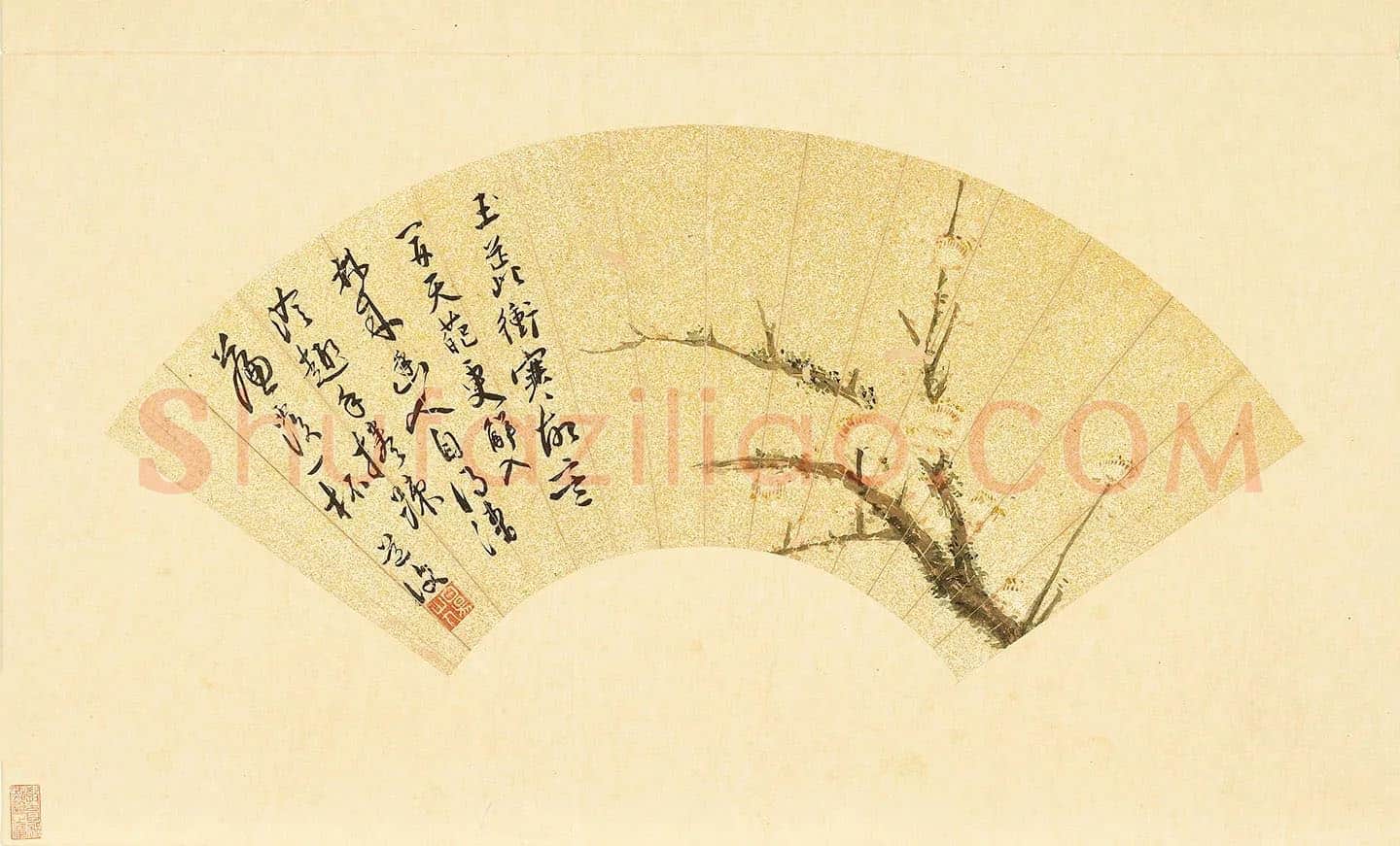 陈淳书画《玉蕊冲寒图》扇面页