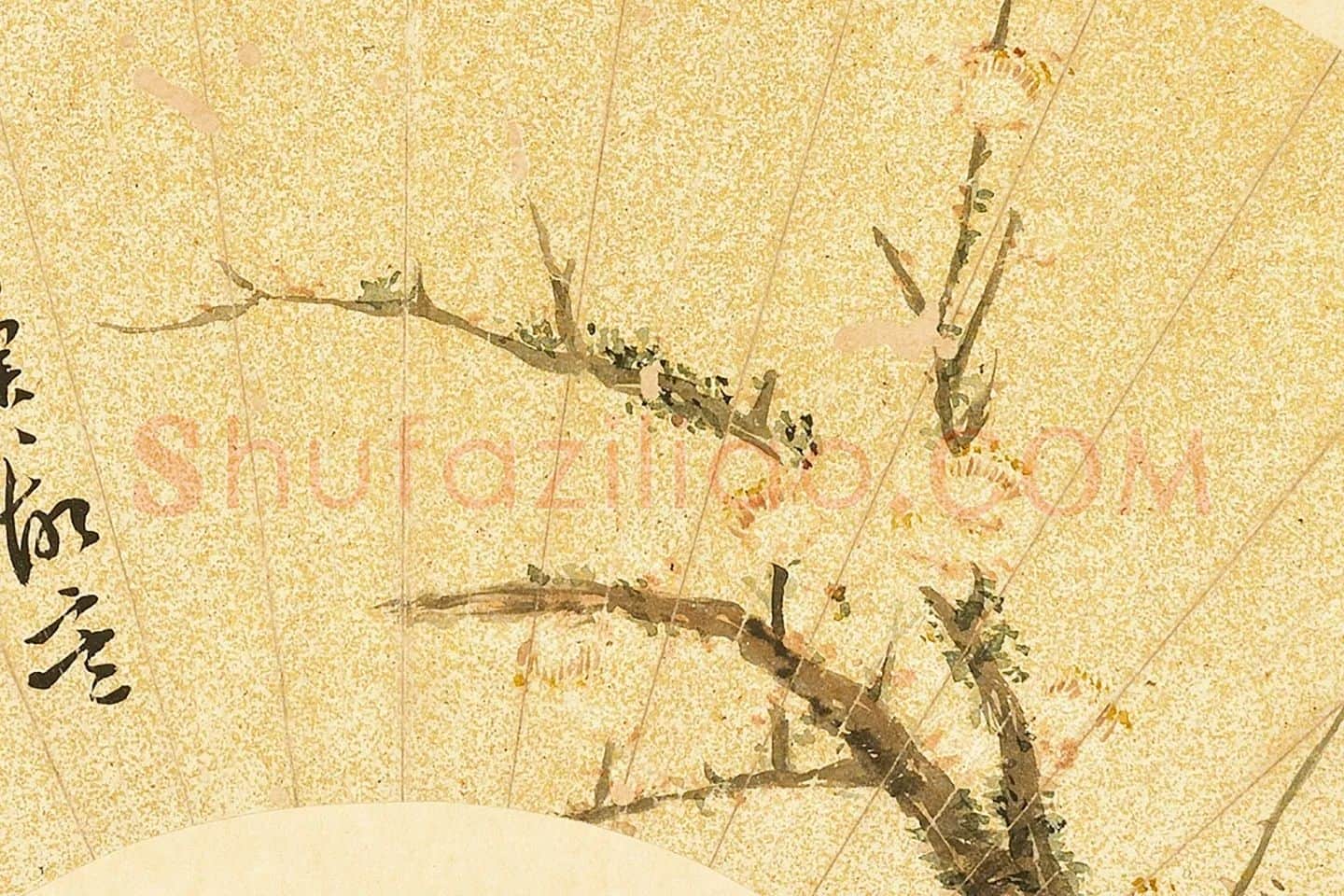 陈淳书画《玉蕊冲寒图》扇面局部 (1)