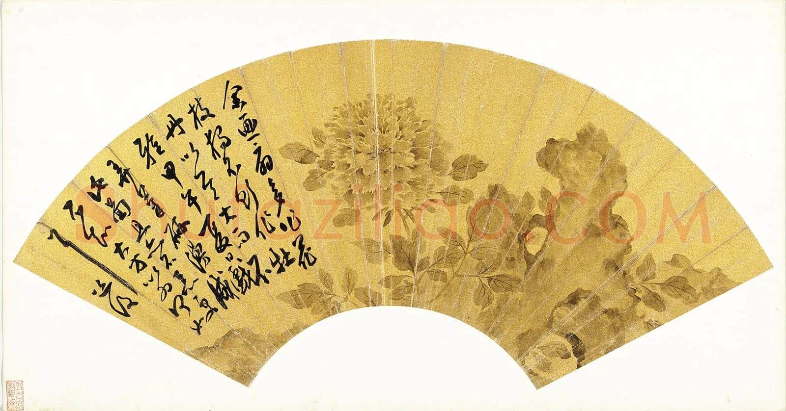 陈淳书画扇面《牡丹》