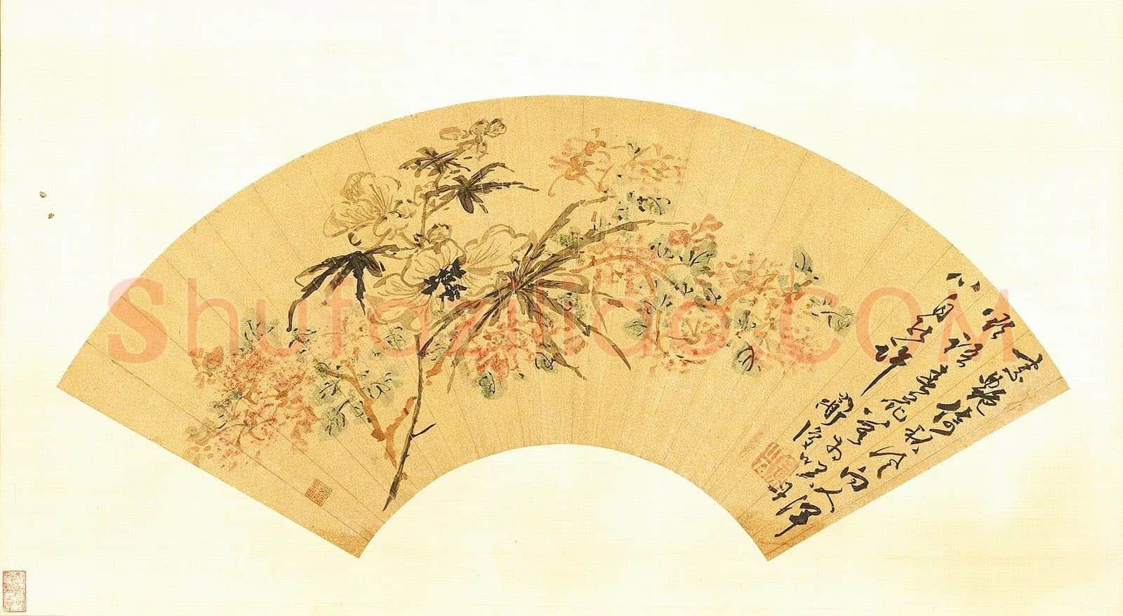 明陈淳花卉扇面页