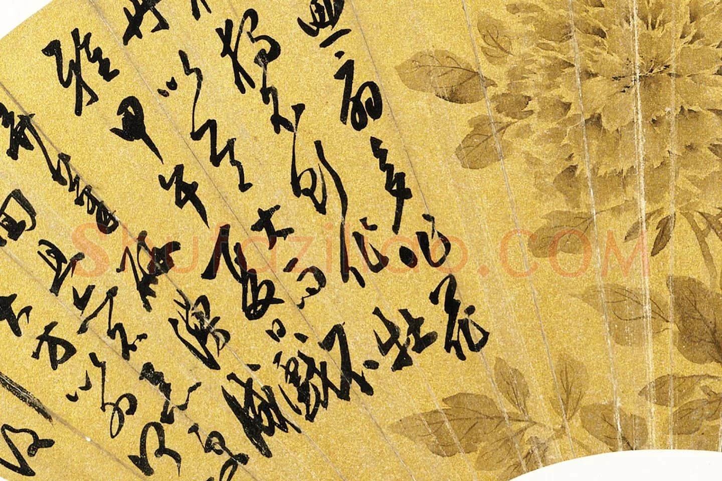 陈淳书画扇面《牡丹》局部 (3)