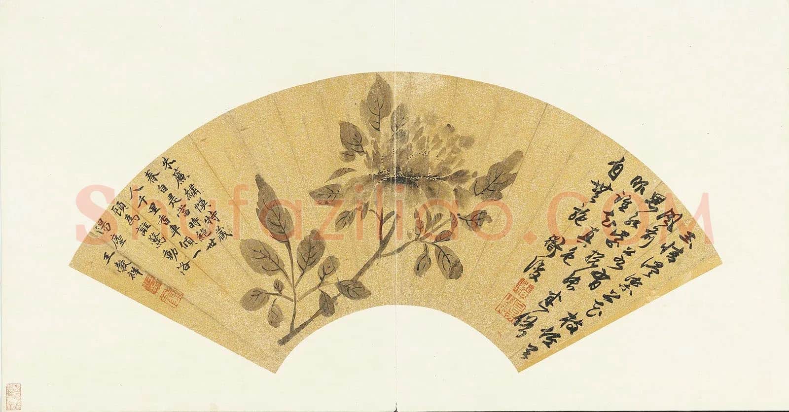 陈淳画牡丹扇面页